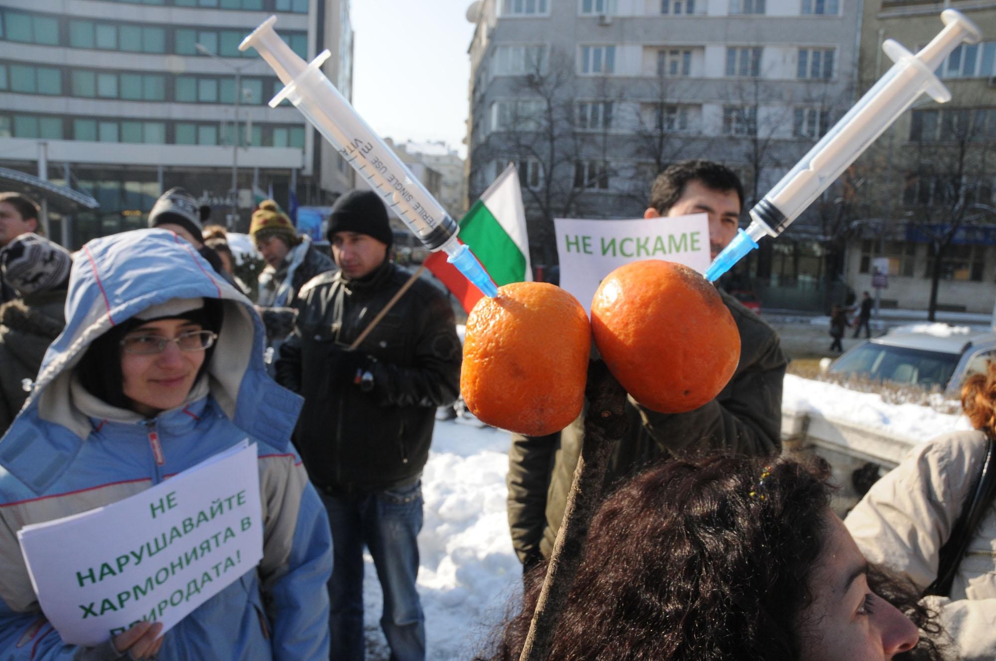 Екоактивисти: МОСВ манипулира хората за ГМО