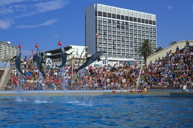 port_elizabeth_dolphin_show.jpg