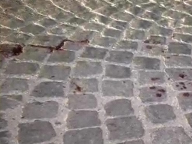 Ром сватбар счупи главата на полицай с тухла