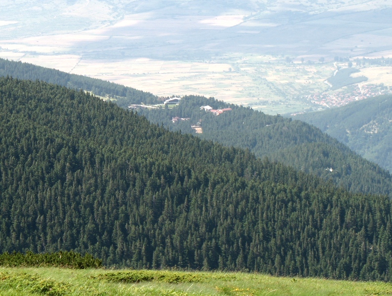 Гори на царя, Баретата, Ковачки и братя Велчеви аут от "Натура"
