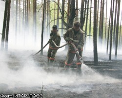 В Русия горят над 270 хиляди декара гори