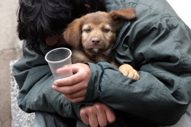 Бездомник наследи огромна сума пари