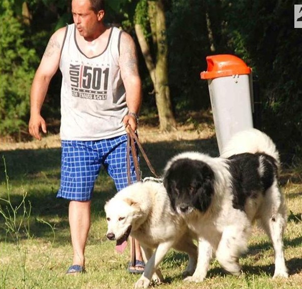 Овчарката на Борисов спечели първа награда