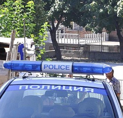 Пипнаха Синдбад и Жабата в Перник
