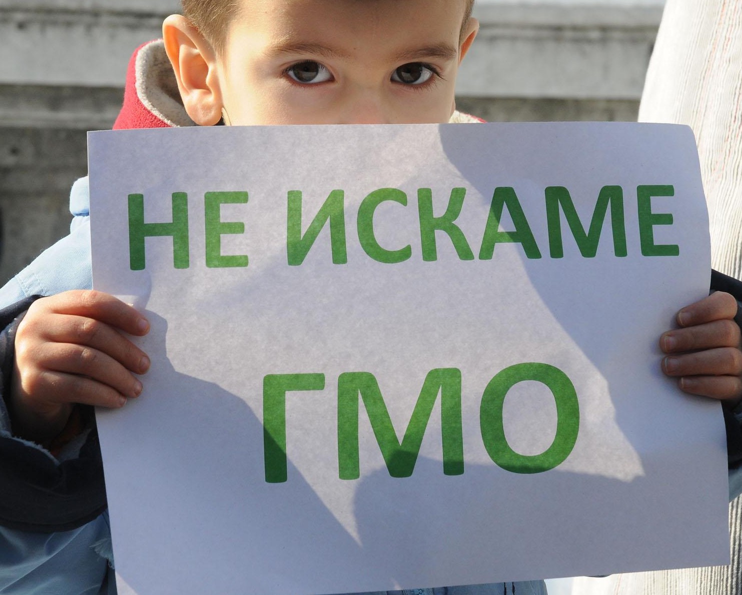 В България се продават ГМО фуражи без специални етикeти