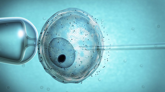 Мюфтиите подкрепиха Синода срещу сурогатното майчинство