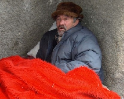 Приютите са препълнени с бездомници