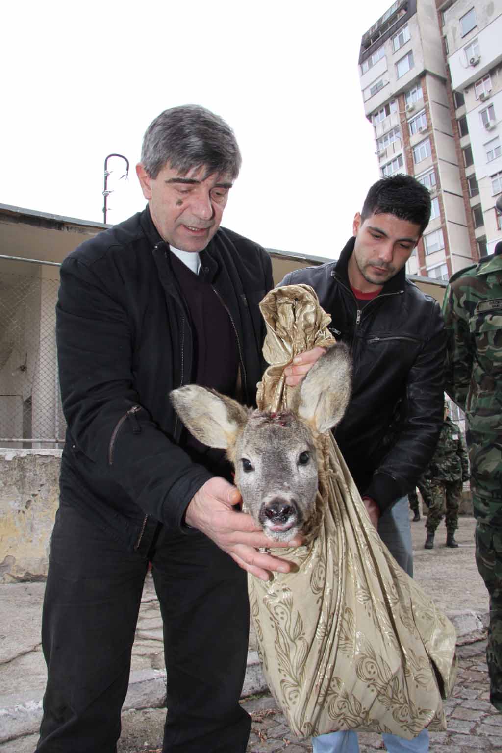 Спасиха нахапан от кучета сръндак