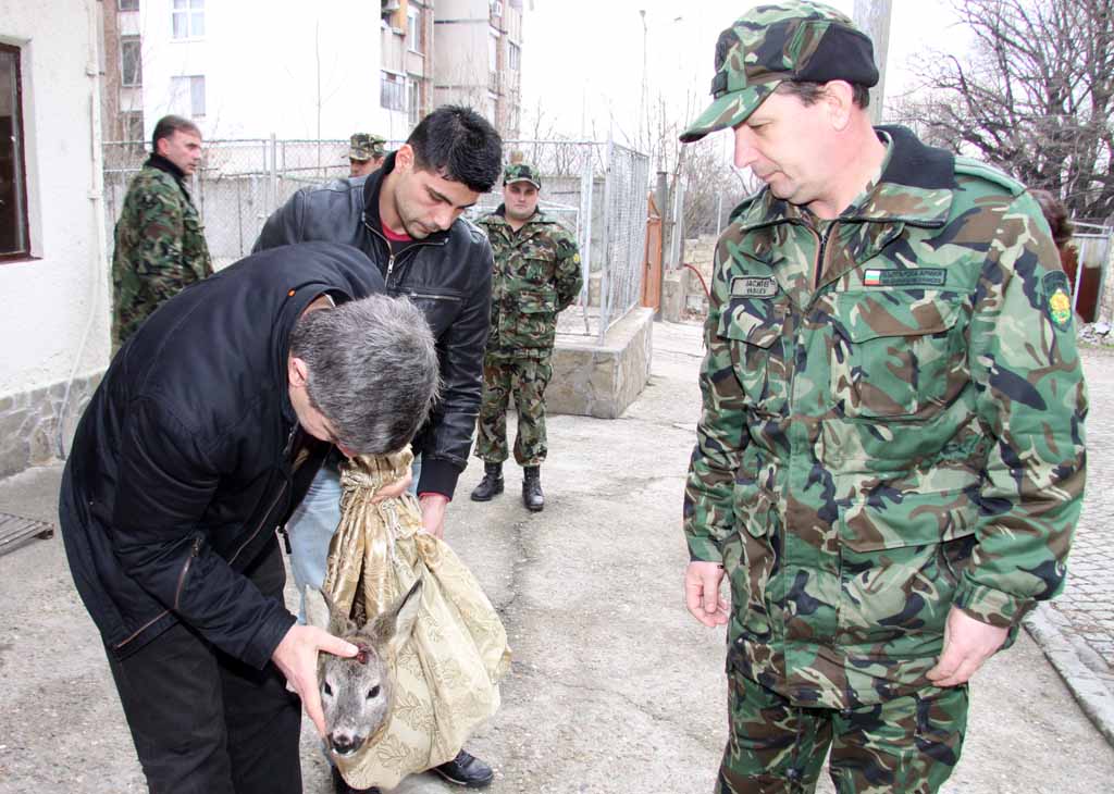 Спасиха нахапан от кучета сръндак
