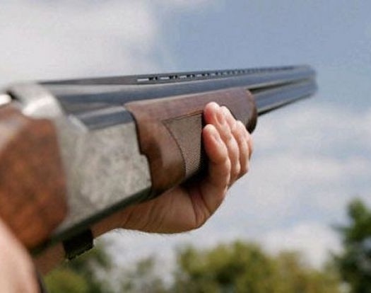 Изверг застреля две кучета във Варна
