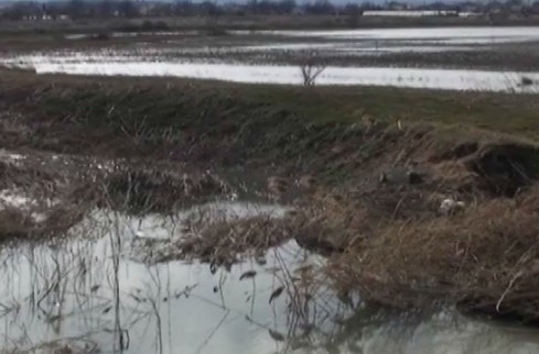 Стотици земеделци във фалит