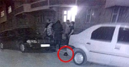Ревнивец наказа съпруга, хвърляйки кучетата й от 11-ия етаж (СНИМКИ/ВИДЕО)