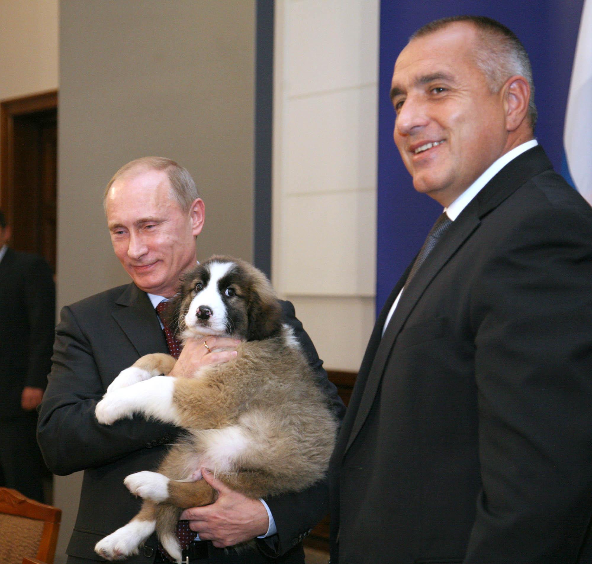 Подариха още едно куче на Путин