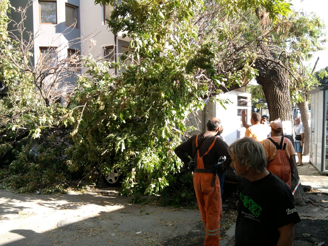 „Фолксваген Голф” стоя 24 часа „погребан” под срутено дърво във Варна