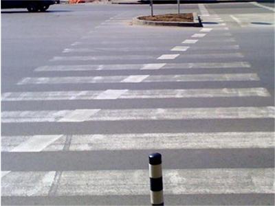 Бус уби човек на пешеходна пътека 
