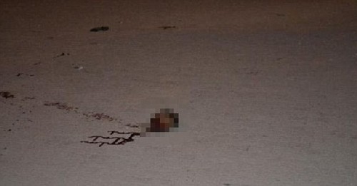 Жена отряза главата на свой изнасилвач, за да спаси честта си (ВИДЕО 18+)