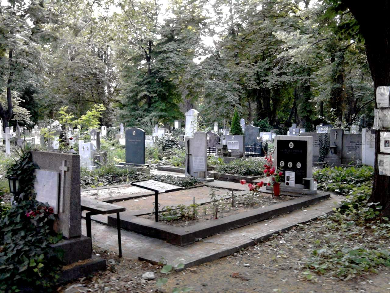 Жени си спретнаха грозно меле на пернишките гробища 