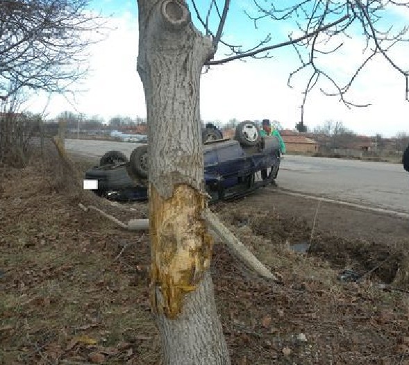 Двайсетгодишна се размаза в дърво