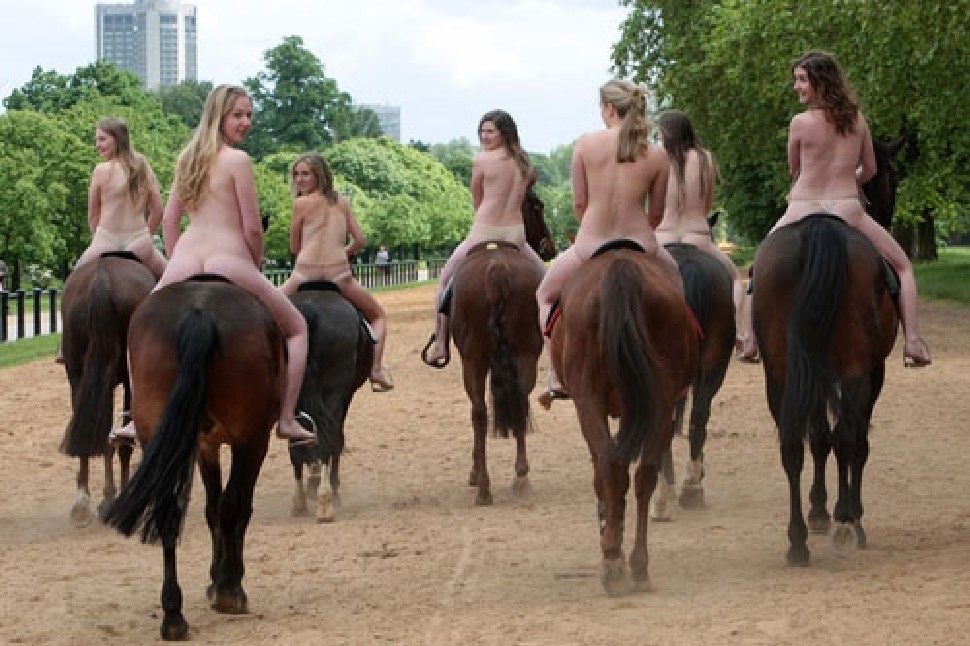 Българки изкарват по 3000 евро за секс с изкуствен кон