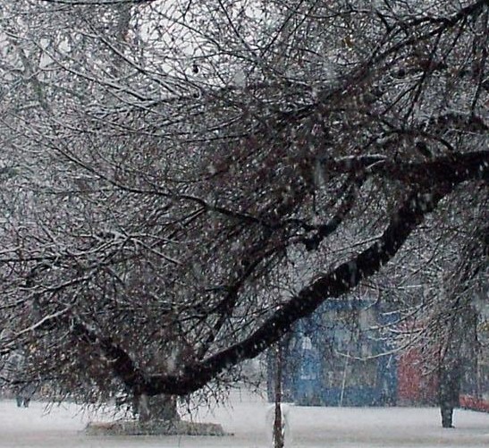 Облаци и дъжд ни чакат днес 