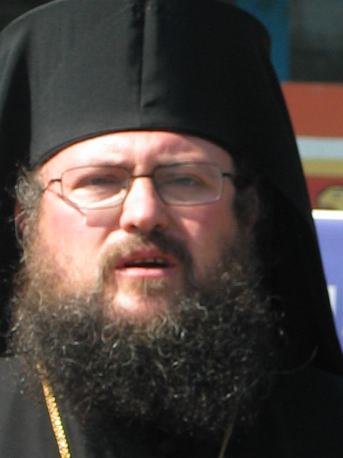 Все още няма писмено свидетелство за чудо на гроба на Максим в Троянския манастир