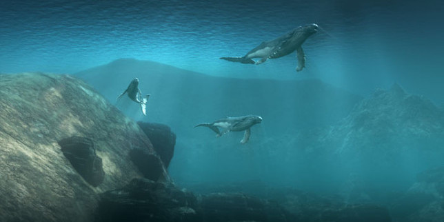 Безплатни прожекции на 3D филми на National Geographic в София