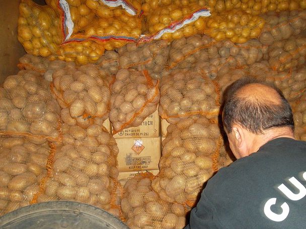 Наш мами поляк за 23 тона картофи