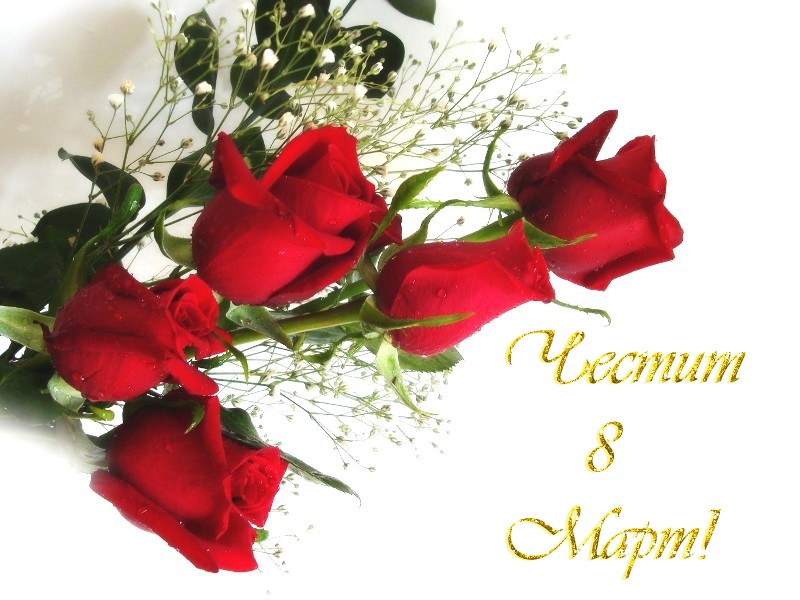 Днес е 8-ми март – честит празник, мили дами!