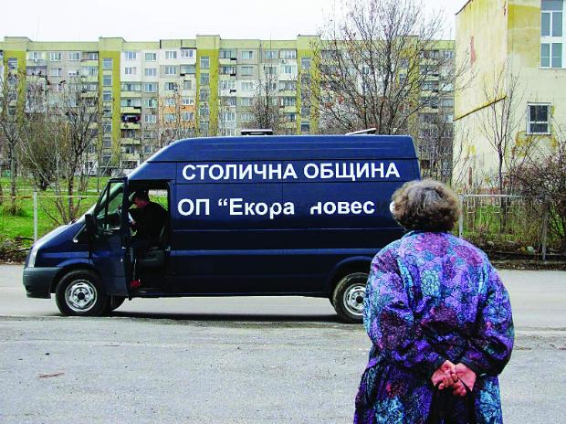 Ударно кастрират дворни кучета в столицата 