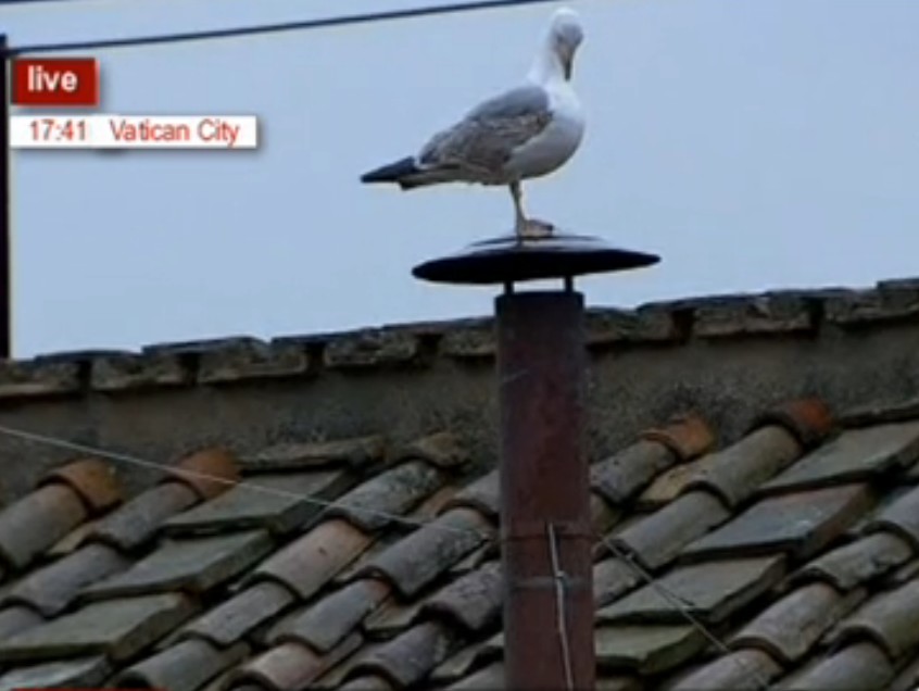 Бял гларус кацна на комина на Сикстинската капела и предизвести избора на Франциск І