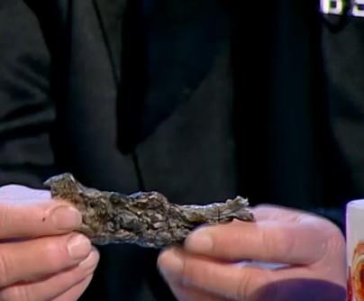 Майка на самозапалил се: От Траян остана едно парче пластмаса с формата на гълъб 