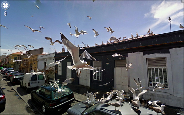 Вижте някои от най-шантавите снимки в Google StreetView 