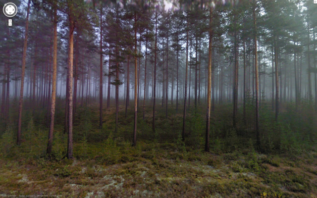 Вижте някои от най-шантавите снимки в Google StreetView 