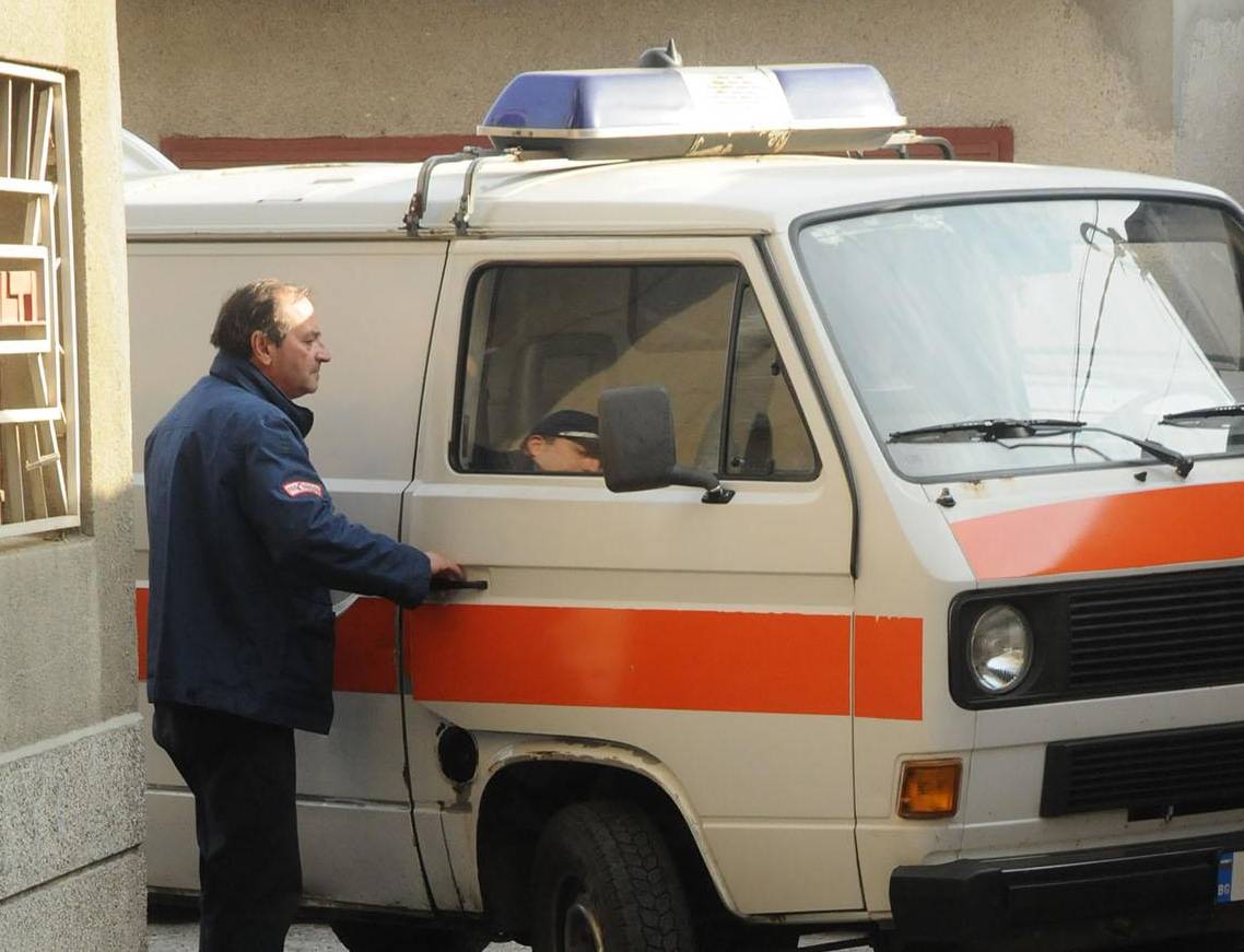 Змия ухапа жена, докато събира сено  