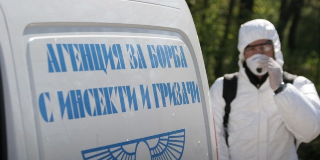 Бум на кърлежи във Варна