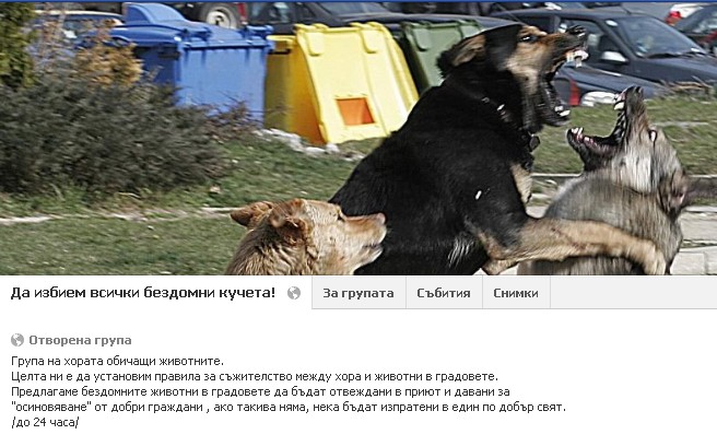 Скандална група във Фейсбук: Да избием всички бездомни кучета!
