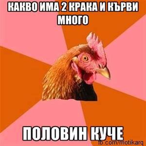 Скандална група във Фейсбук: Да избием всички бездомни кучета!