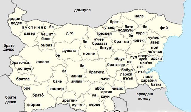  “Чиверме” и “чижми” в речник на БАН 
