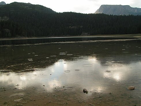 Вижте Черното езеро в Черна гора