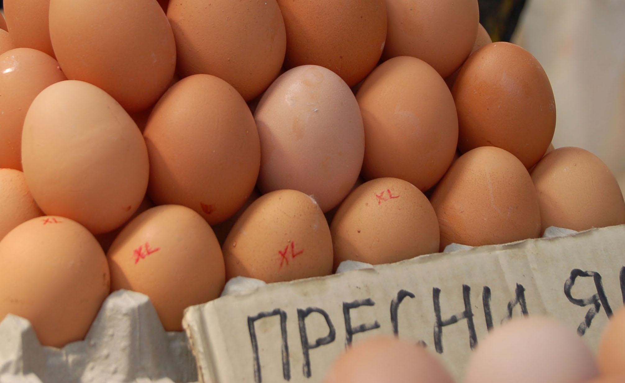 Мътят пилета в аквариум