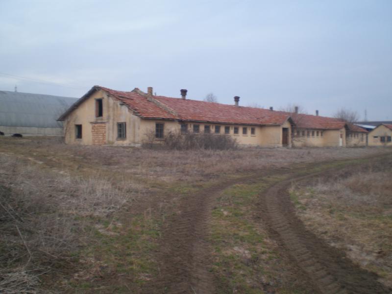 Осъдиха двама, въртели лаборатория за канабис в стар краварник