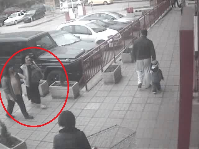 Зверство в София: Крадлите на кучета взимали животните, за да ги изкормят