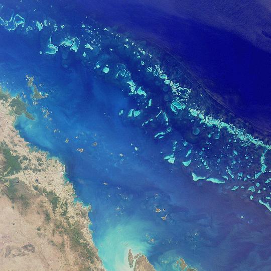 IUCN изнесе притеснителен доклад за Земята и човечеството!  