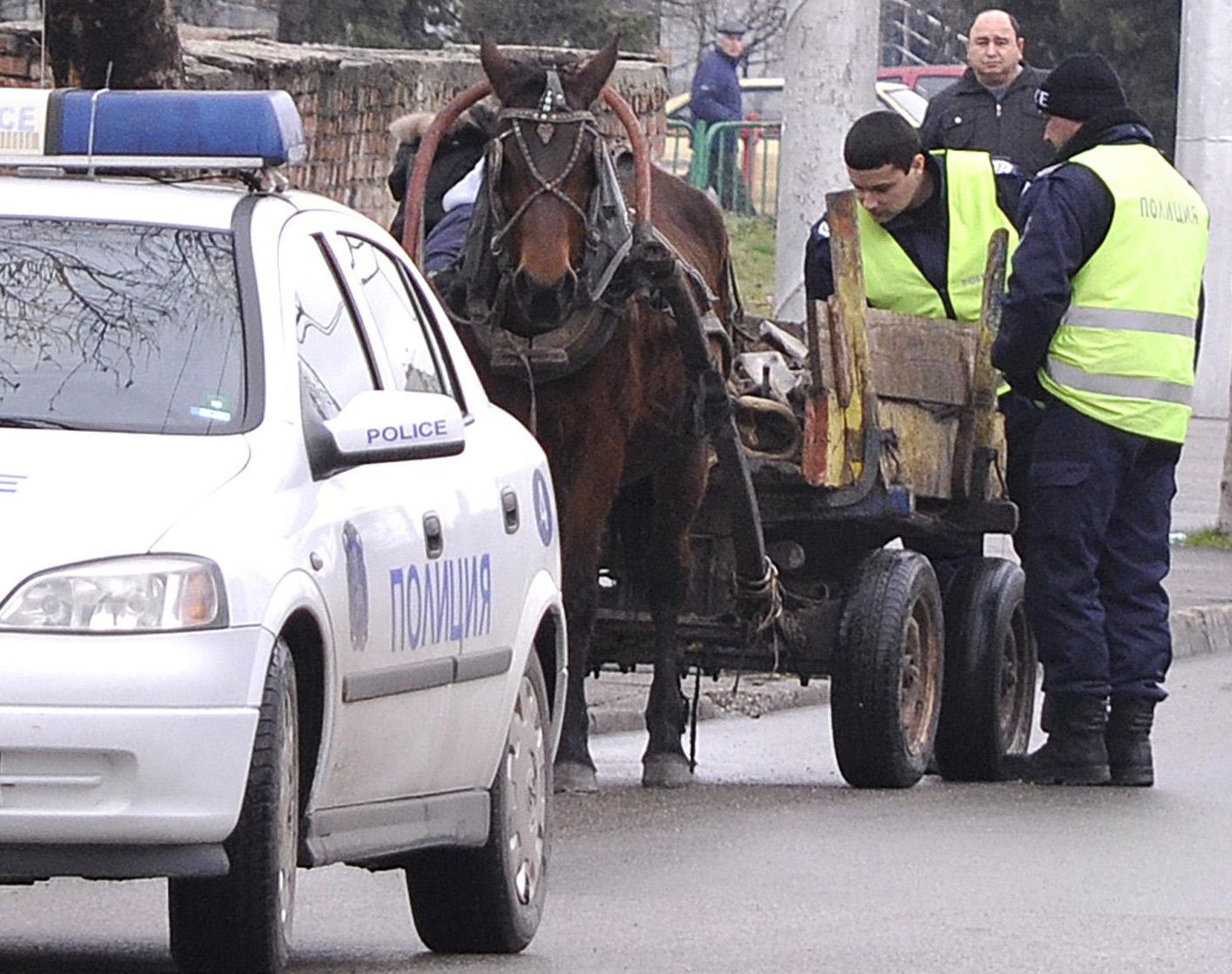 Заловиха мъж, отсякъл 230 липи 