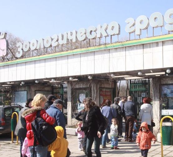 Фураж убива животните в зоопарка