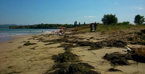 Плажът в Крайморие вони, начупени ръждясали чадъри стърчат от пясъка (СНИМКИ)