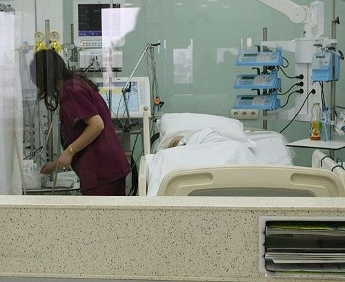 Пловдивските токсиколози: Не берете гъби, клиниката се напълни с натровени