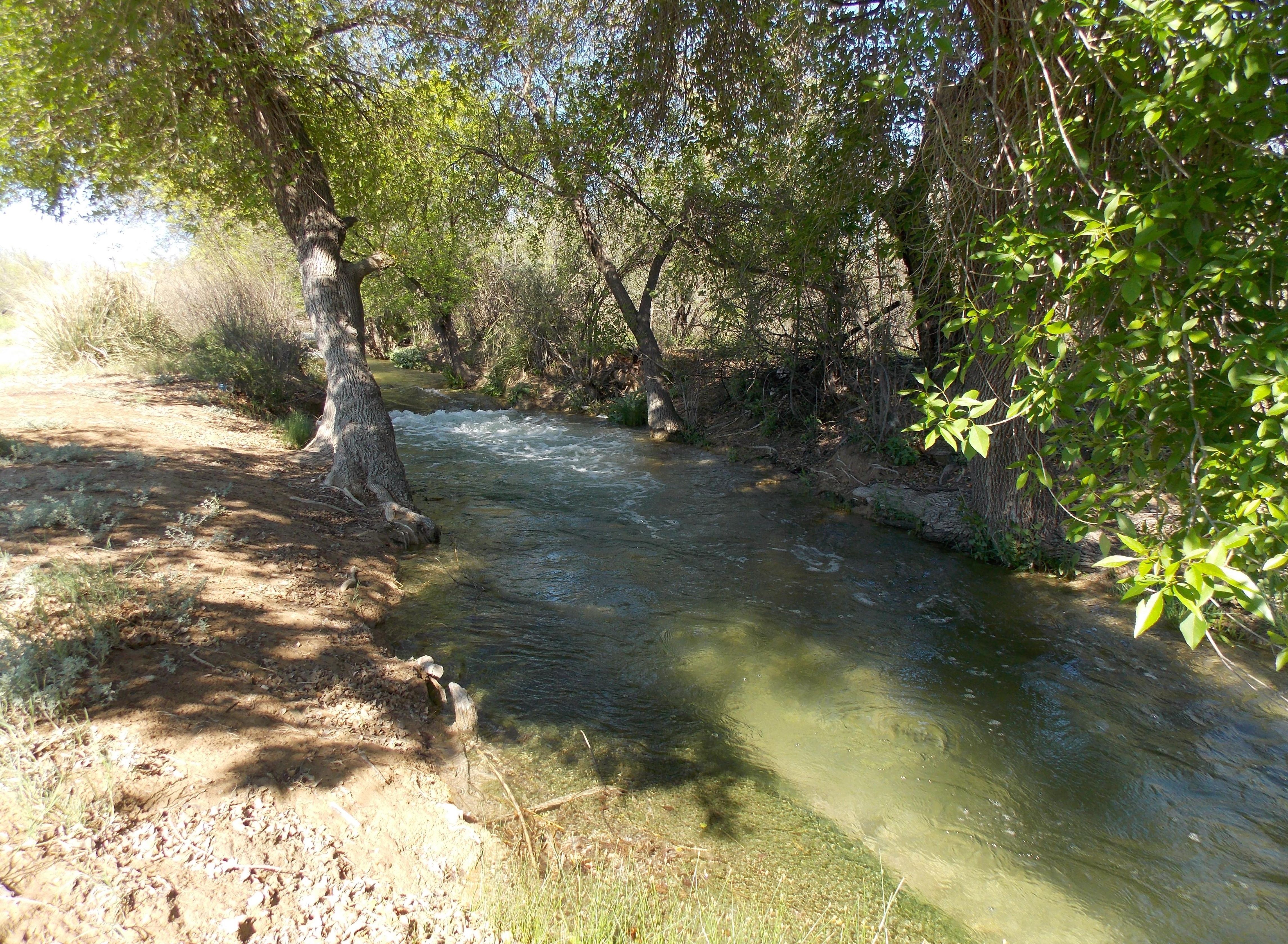 Водолази извадиха удавник от водите на Струма