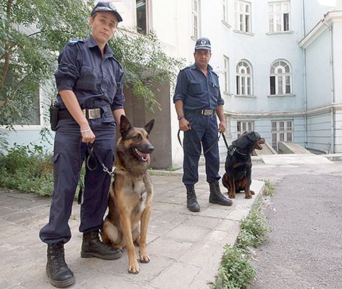За първия учебен ден: Полицаи с кучета душат раниците 