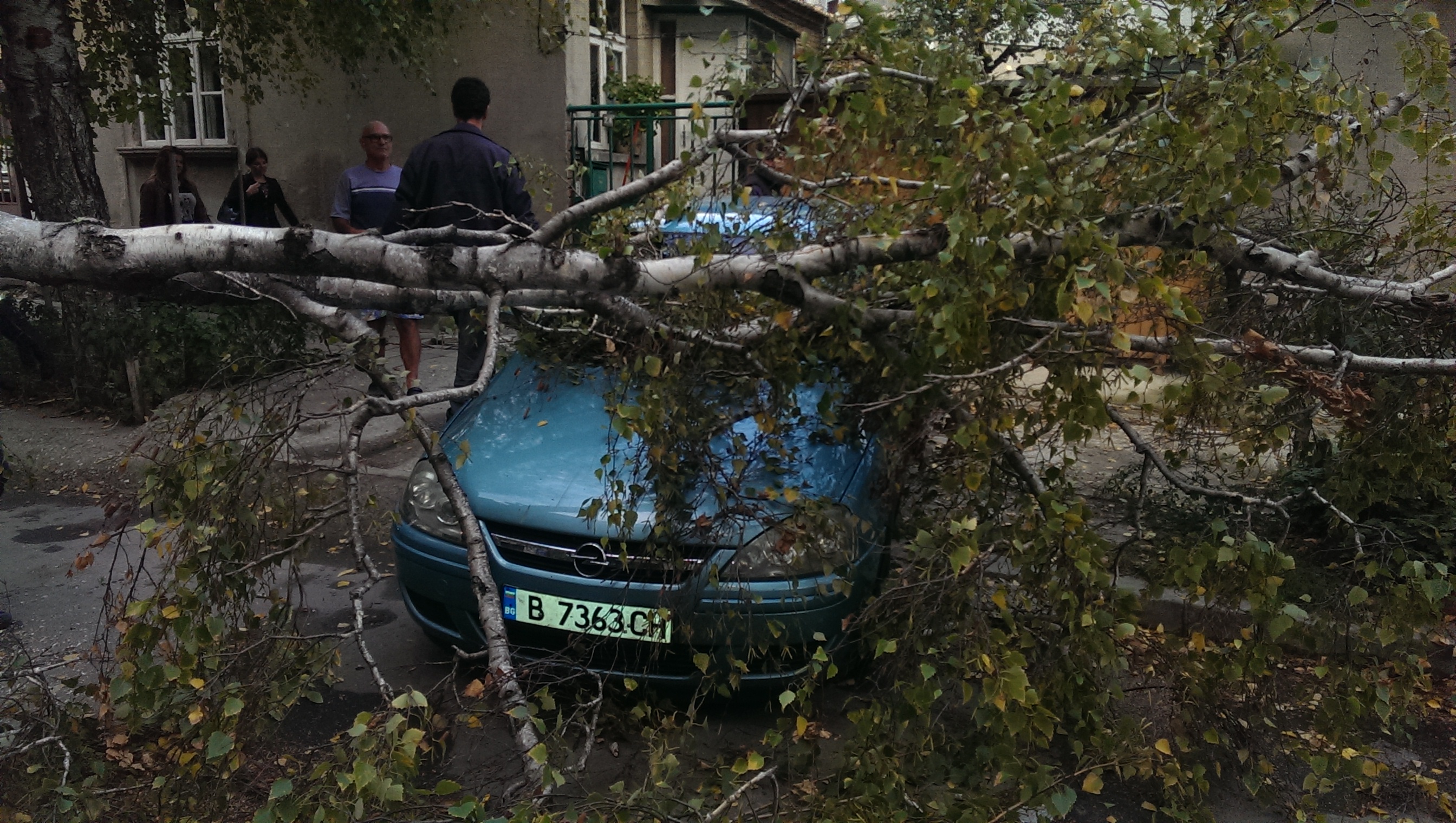 Варненци се жалват пред БЛИЦ: Падат дървета, по чудо още няма жертви!